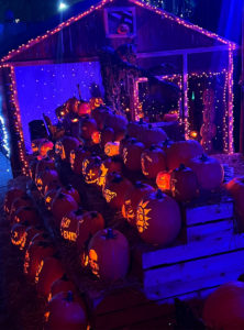 st louis jack o lantern pumpkin fest-27